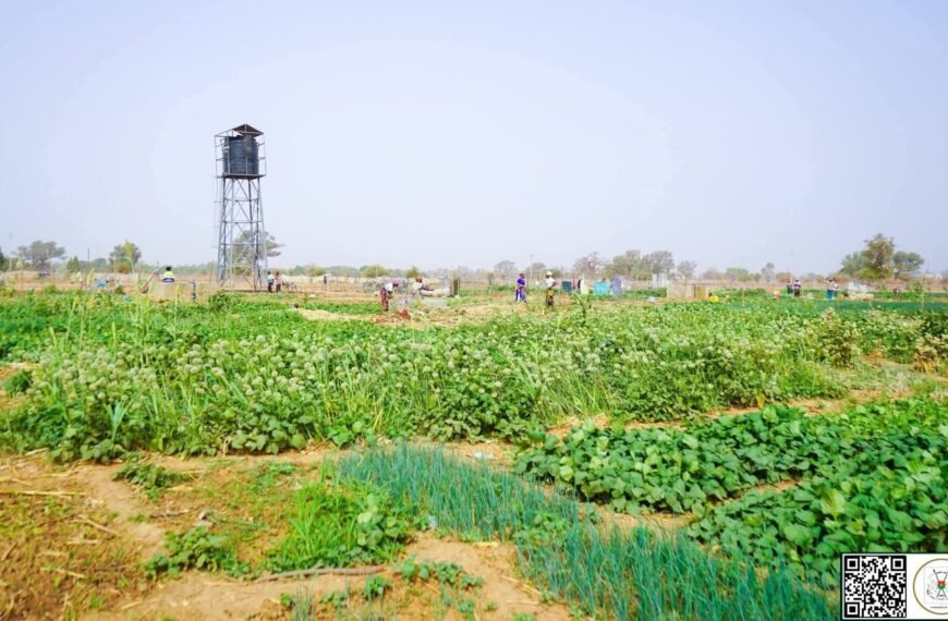 Mois de la Femme 2026 : 8 hectares aménagés pour l’autonomisation des femmes à Komtoèga