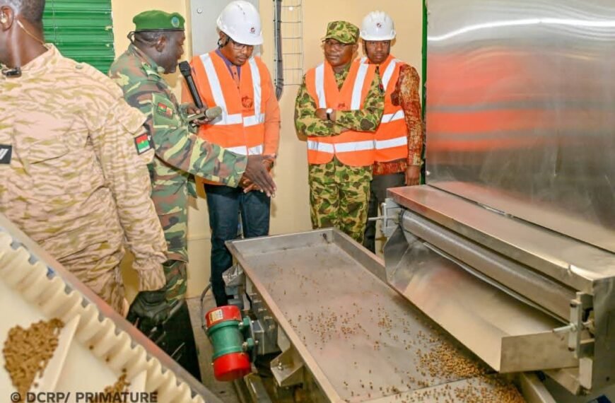 Pisciculture au Burkina : 1,5 milliard FCFA investi dans 3 unités de production d’aliments