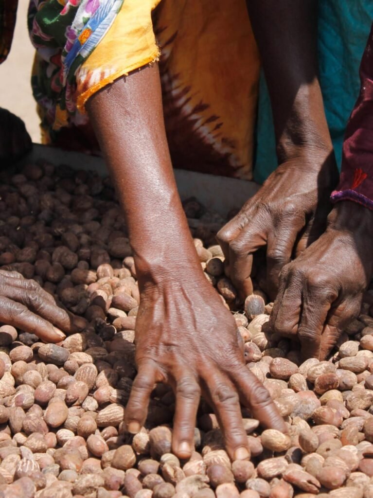 Burkina : Le gouvernement crée une agence d’investissement et de promotion des exportations
