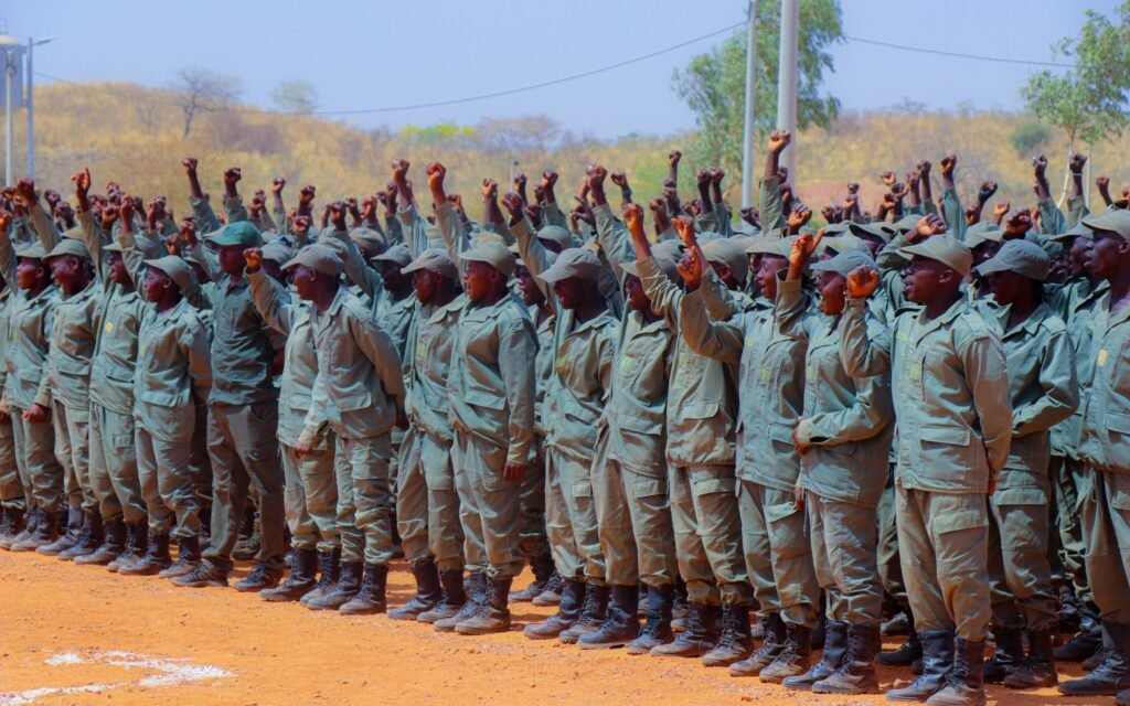IP-P3A : 2 610 VDP agricoles ont effectué avec succès leur stage à Badnogo
