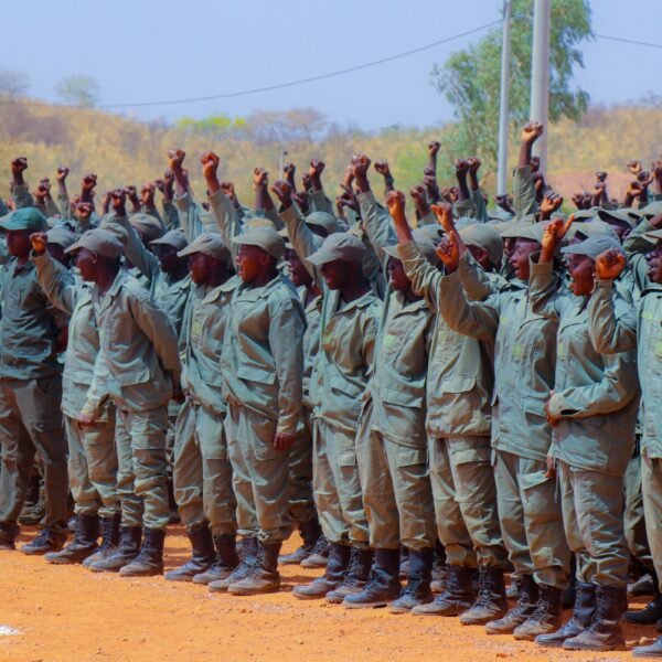 IP-P3A : 2 610 VDP agricoles ont effectué avec succès leur stage à Badnogo