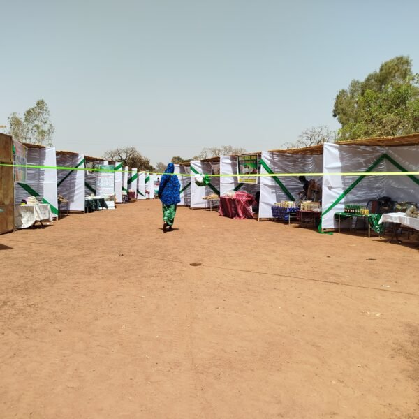 Pabré : Le manioc en quête d’industrialisation à la FITAMD