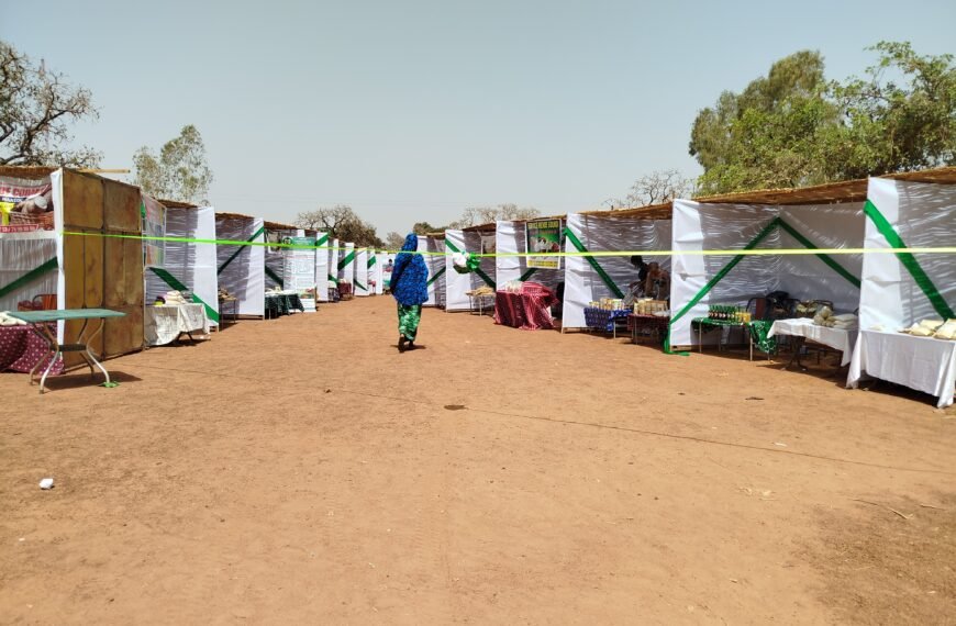 Pabré : Le manioc en quête d’industrialisation à la FITAMD