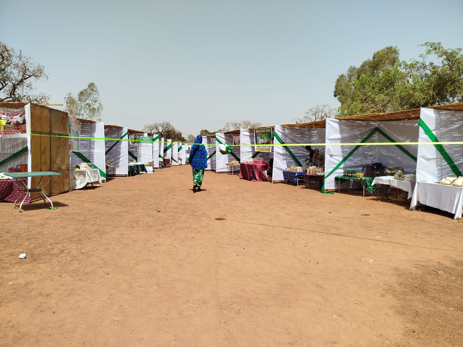 Pabré : Le manioc en quête d’industrialisation à la FITAMD