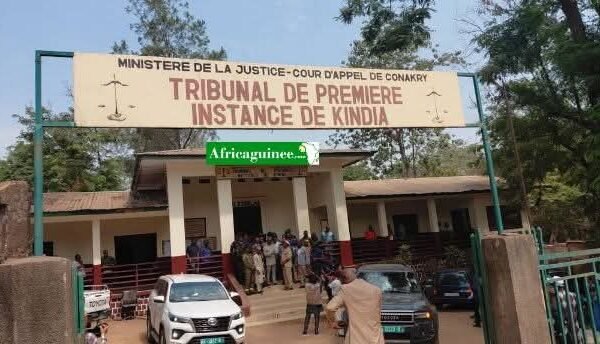 Guinée : Trois femmes condamnées pour homo.sexualité