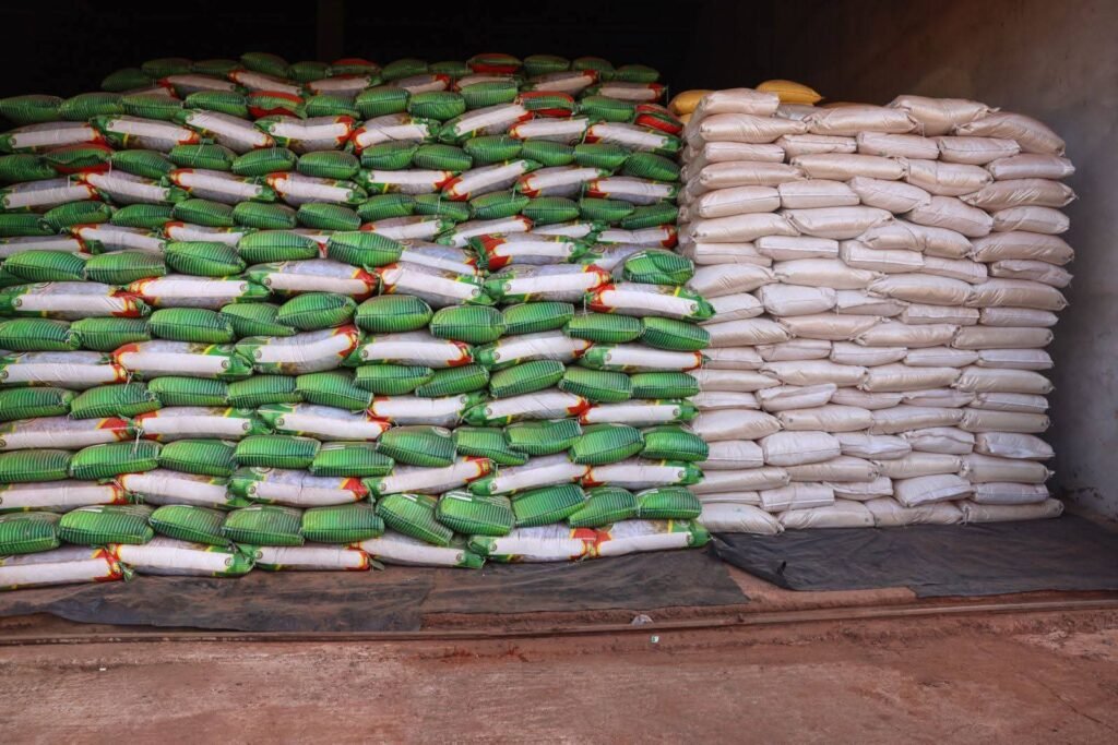 Sécurité alimentaire : 2 500 tonnes de riz remises à la SONAGESS, plus de 14 800 tonnes produites grâce à l’IP-P3A