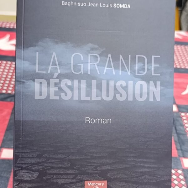 Littérature: La « Grande Désillusion », une œuvre pour réconcilier jeunesse et valeurs sociales